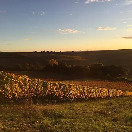 Krone Dolgesheim